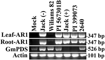 Fig. 7