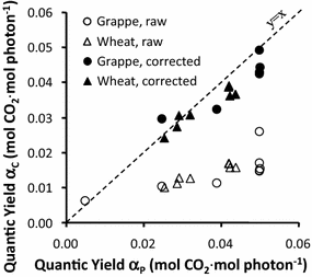 Fig. 6