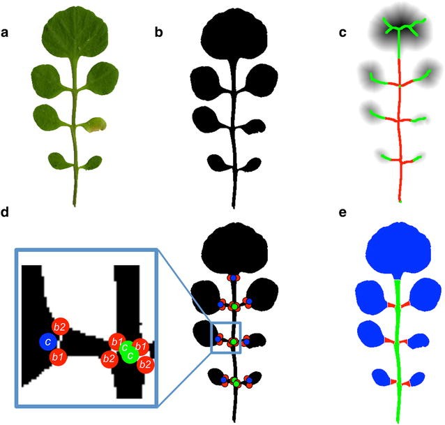 Fig. 2