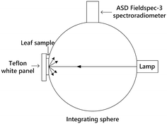 Fig. 1