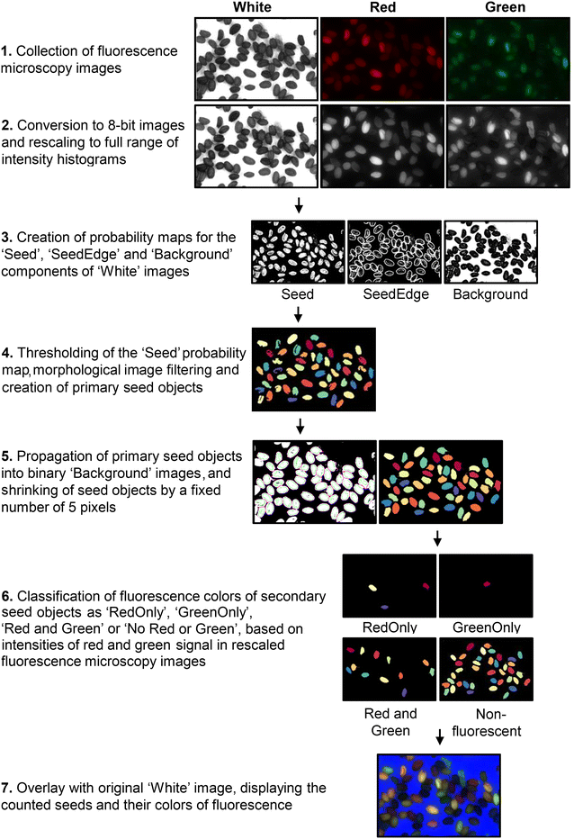 Fig. 2