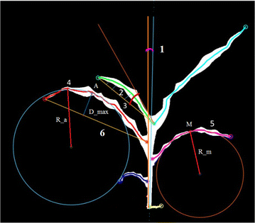 Fig. 7