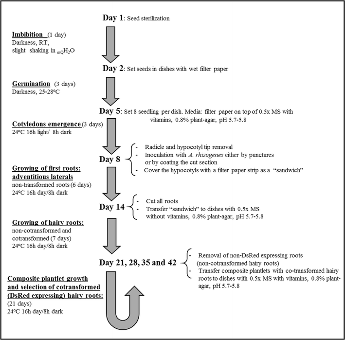 Fig. 1