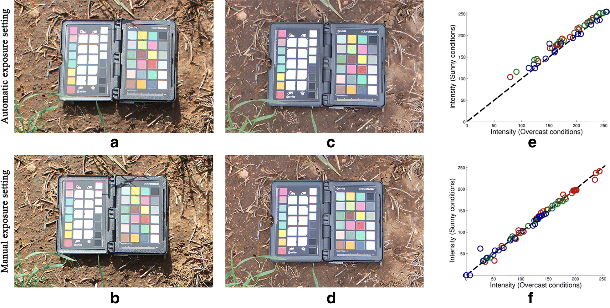 Fig. 8