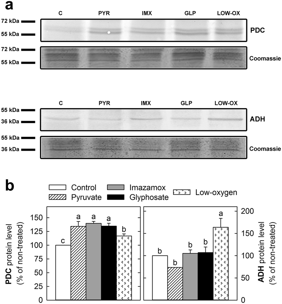 Fig. 4