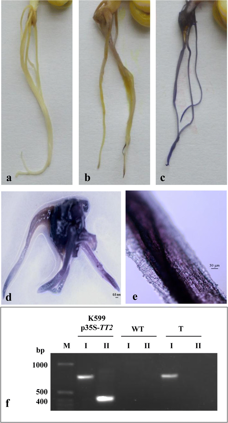 Fig. 6