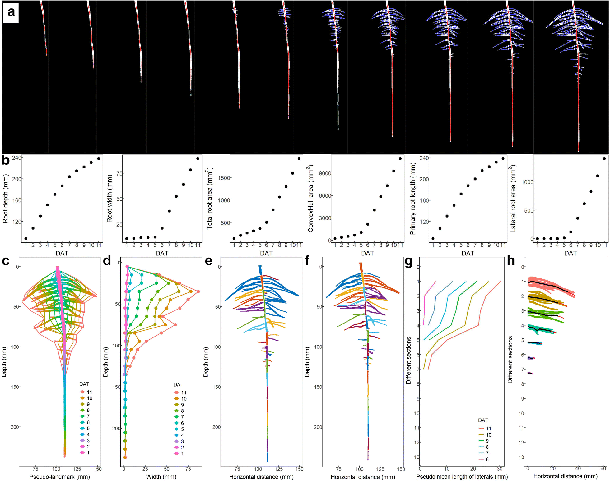 Fig. 7