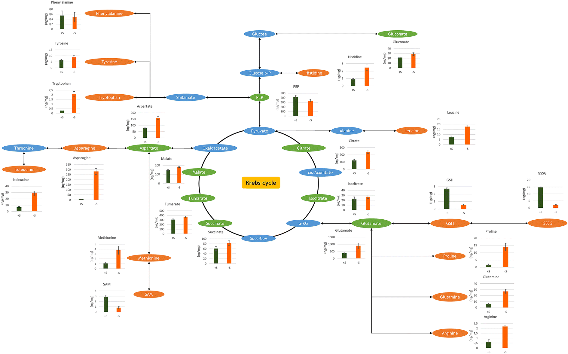 Fig. 7