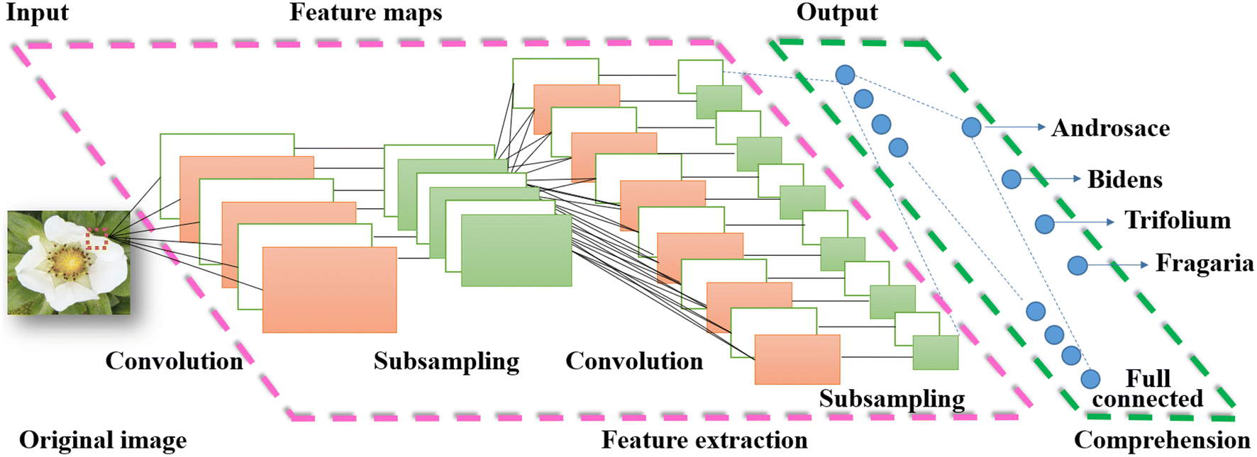 Fig. 1