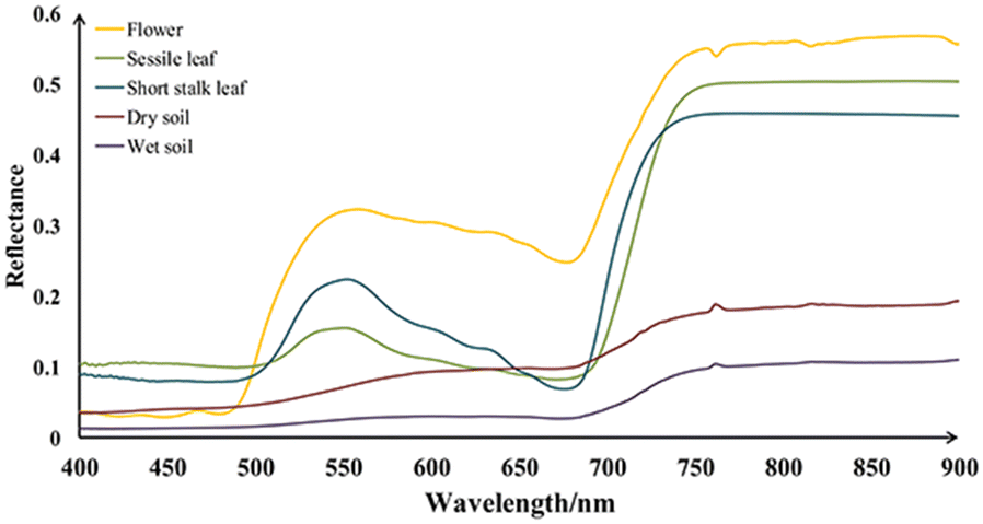 Fig. 4