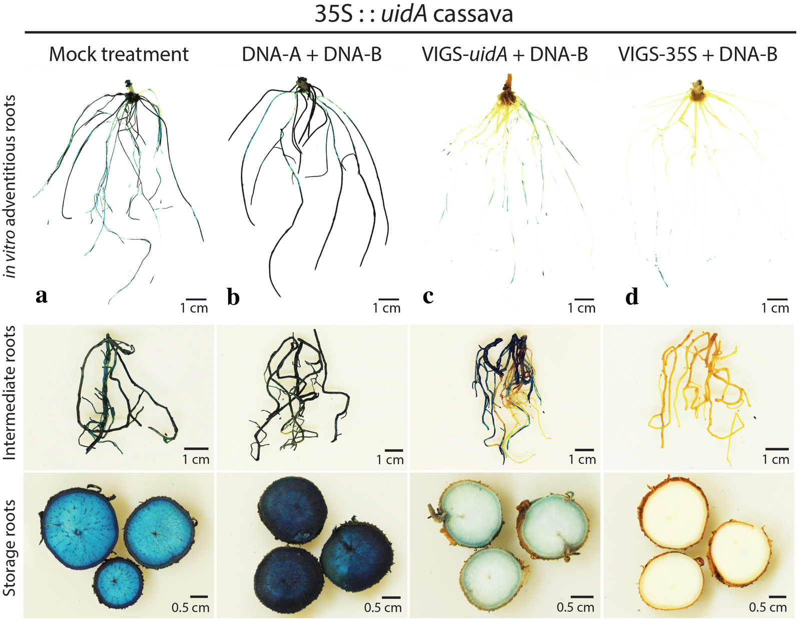 Fig. 4