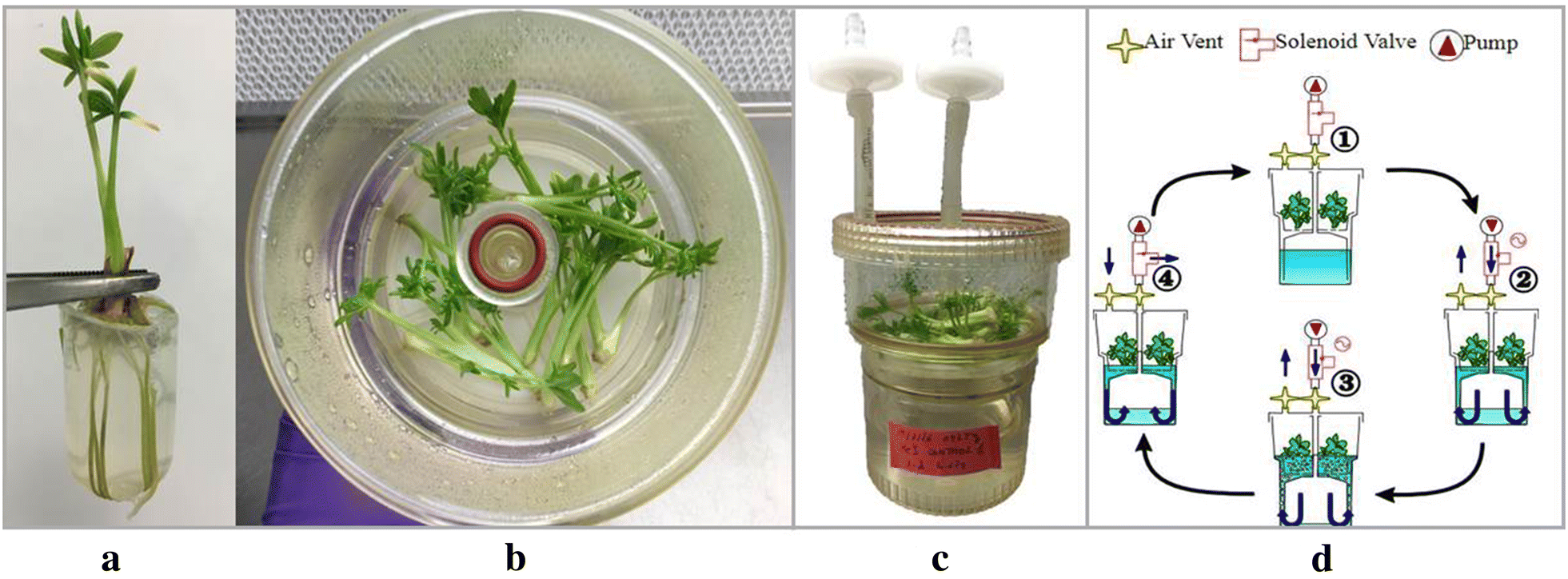 Fig. 2