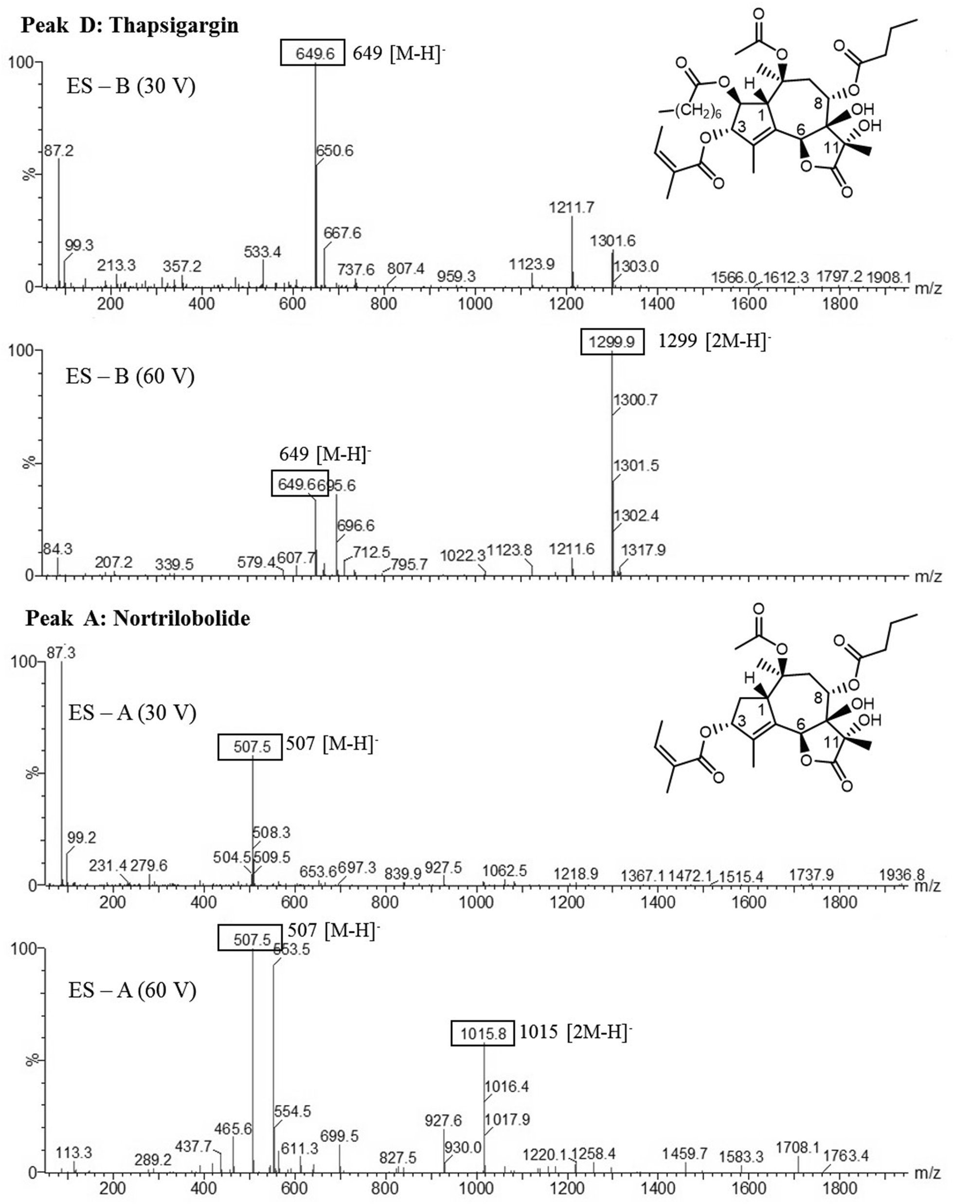 Fig. 6