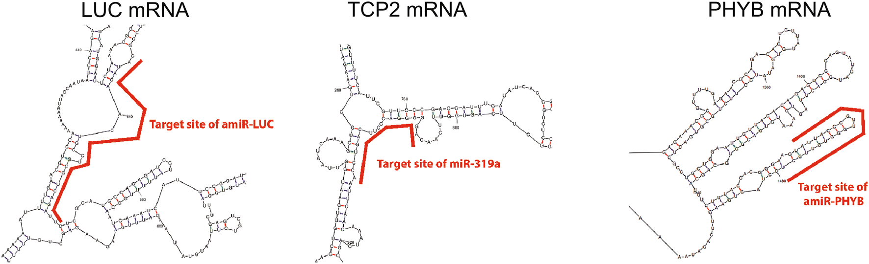 Fig. 6