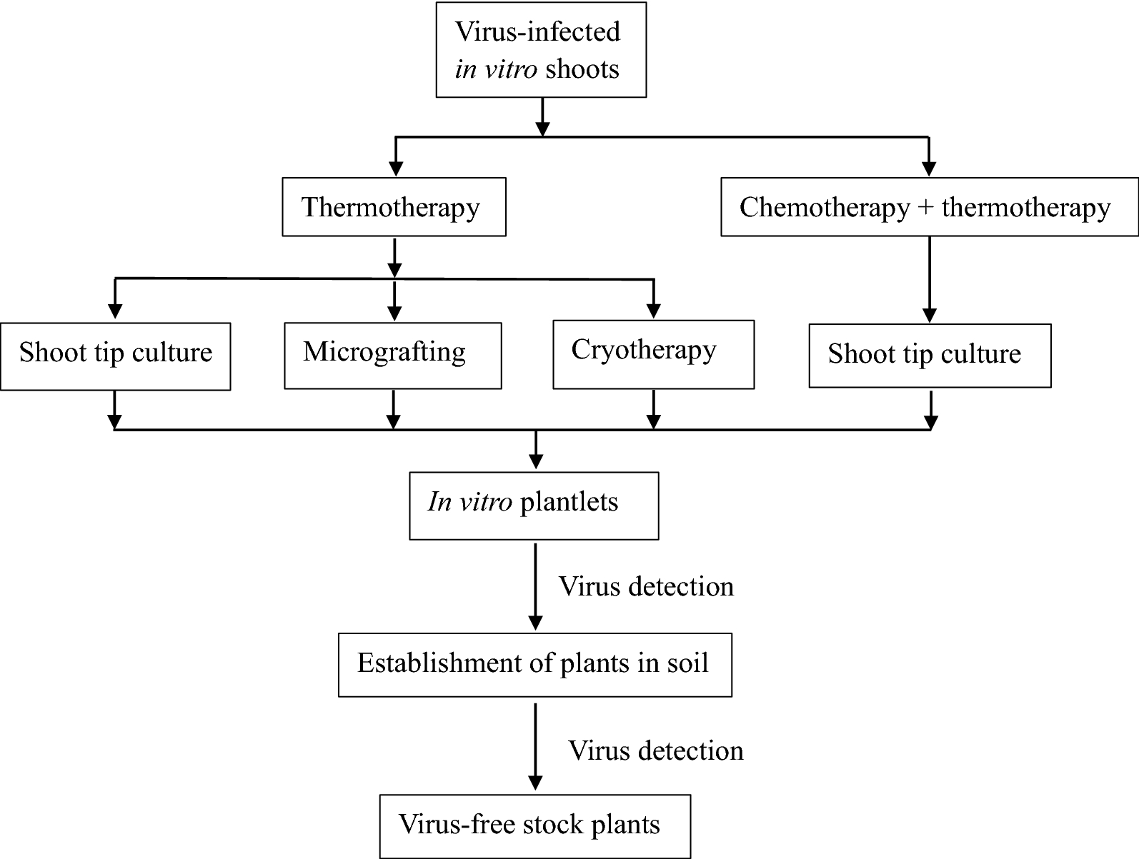 Plants, Free Full-Text