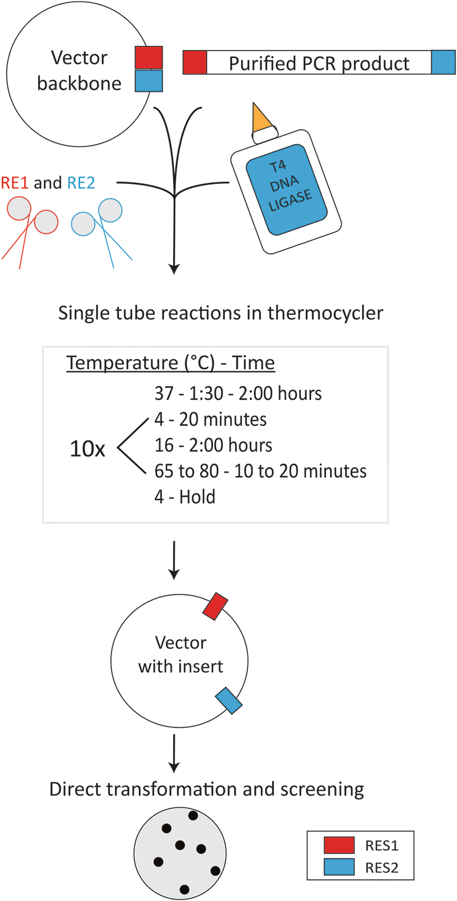 Fig. 1