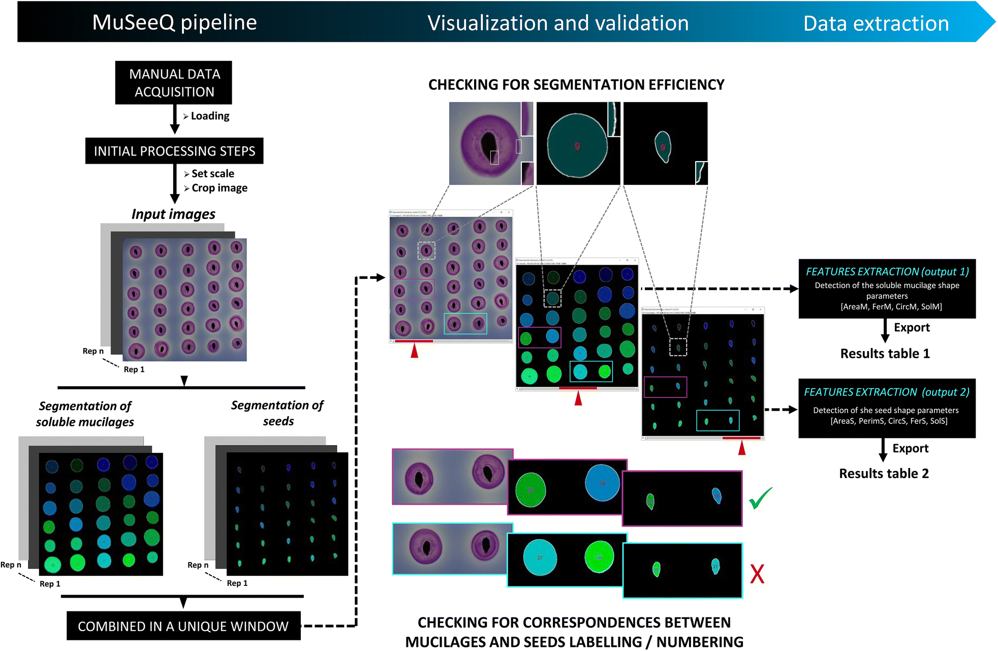 Fig. 2