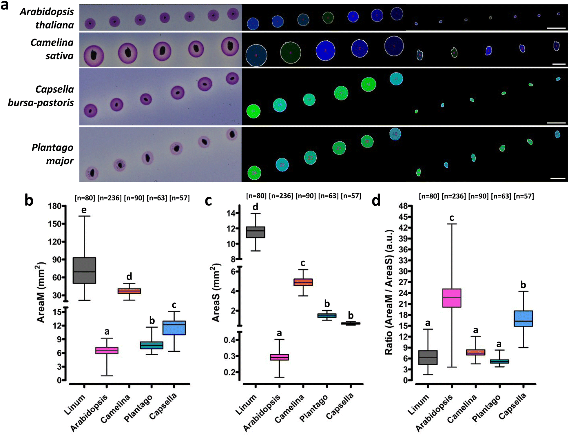 Fig. 7