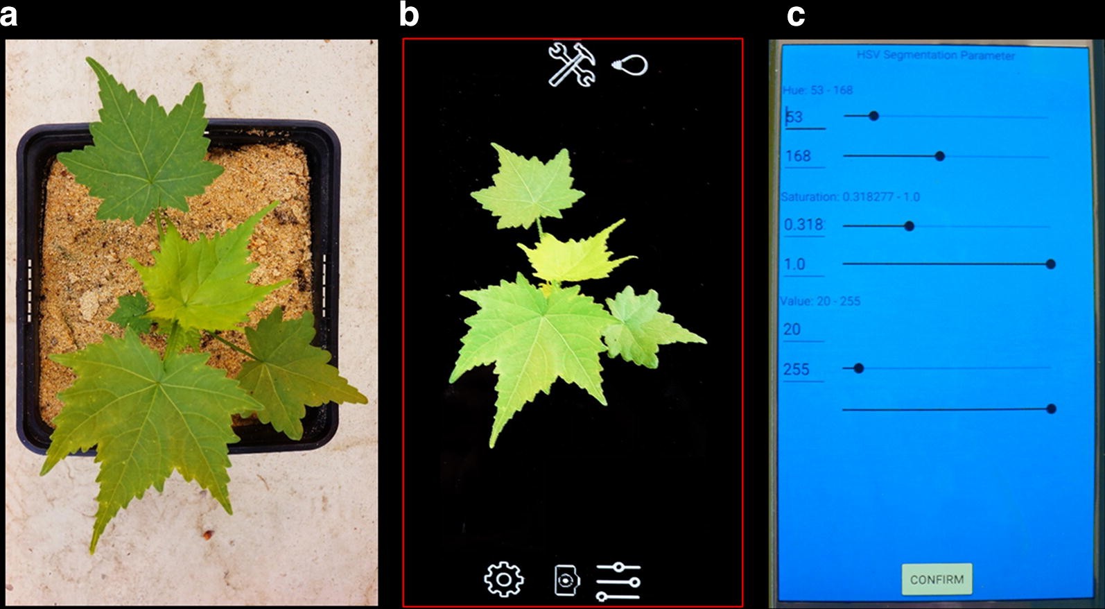 Fig. 2