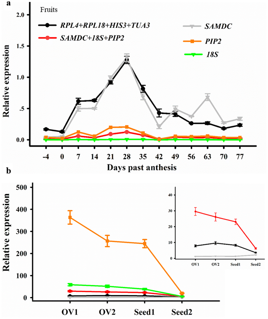 Fig. 4