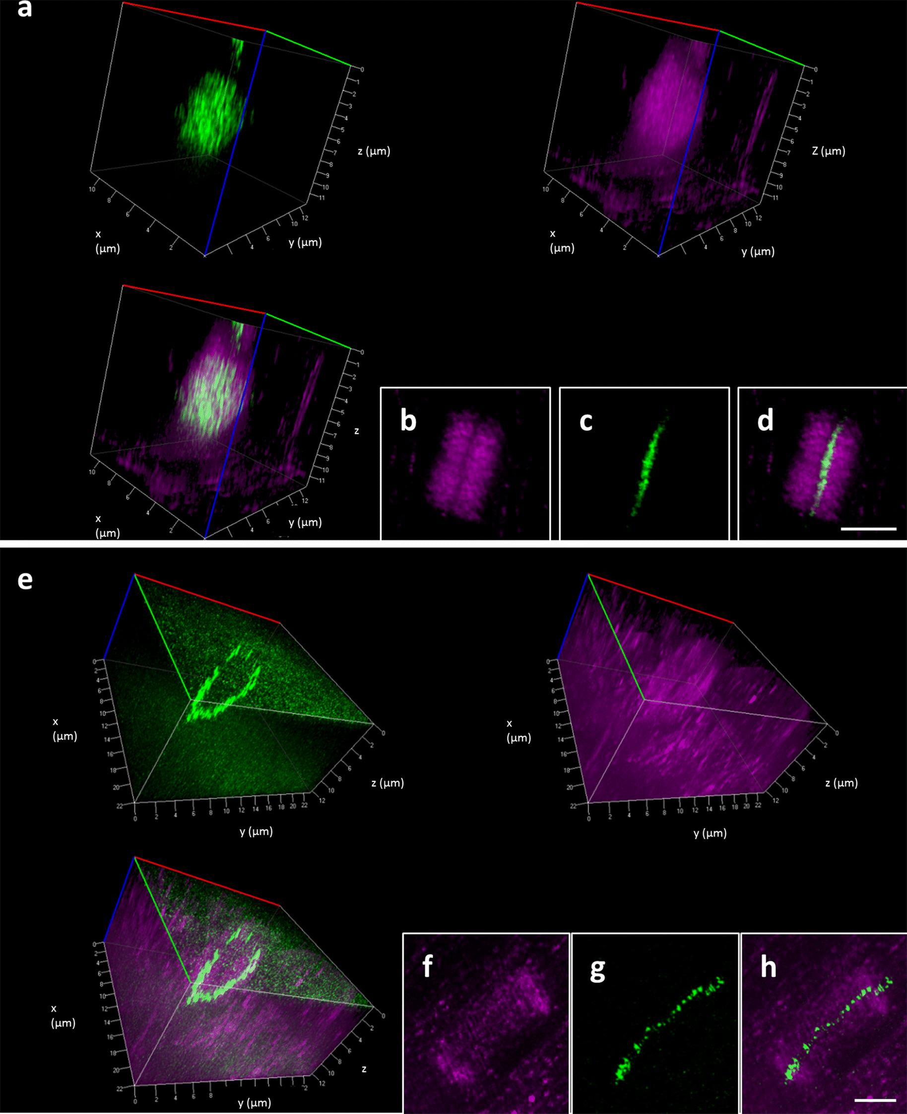 Fig. 6