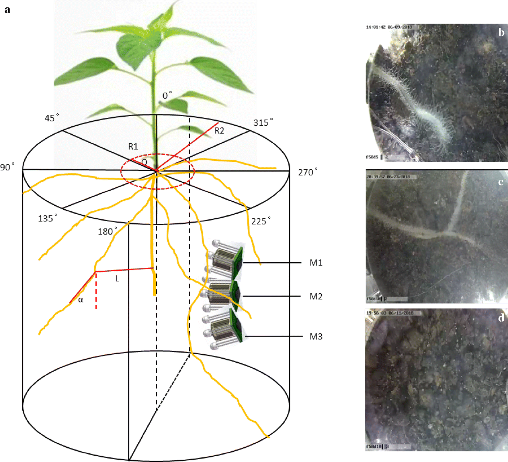 Fig. 4