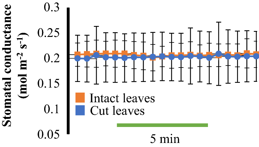 Fig. 3