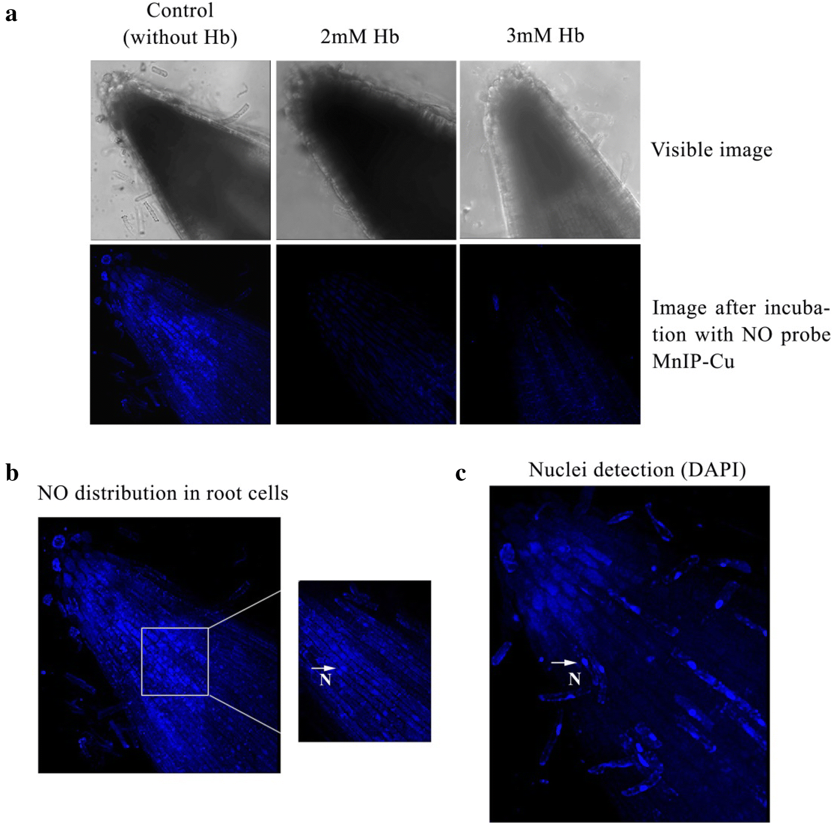 Fig. 2