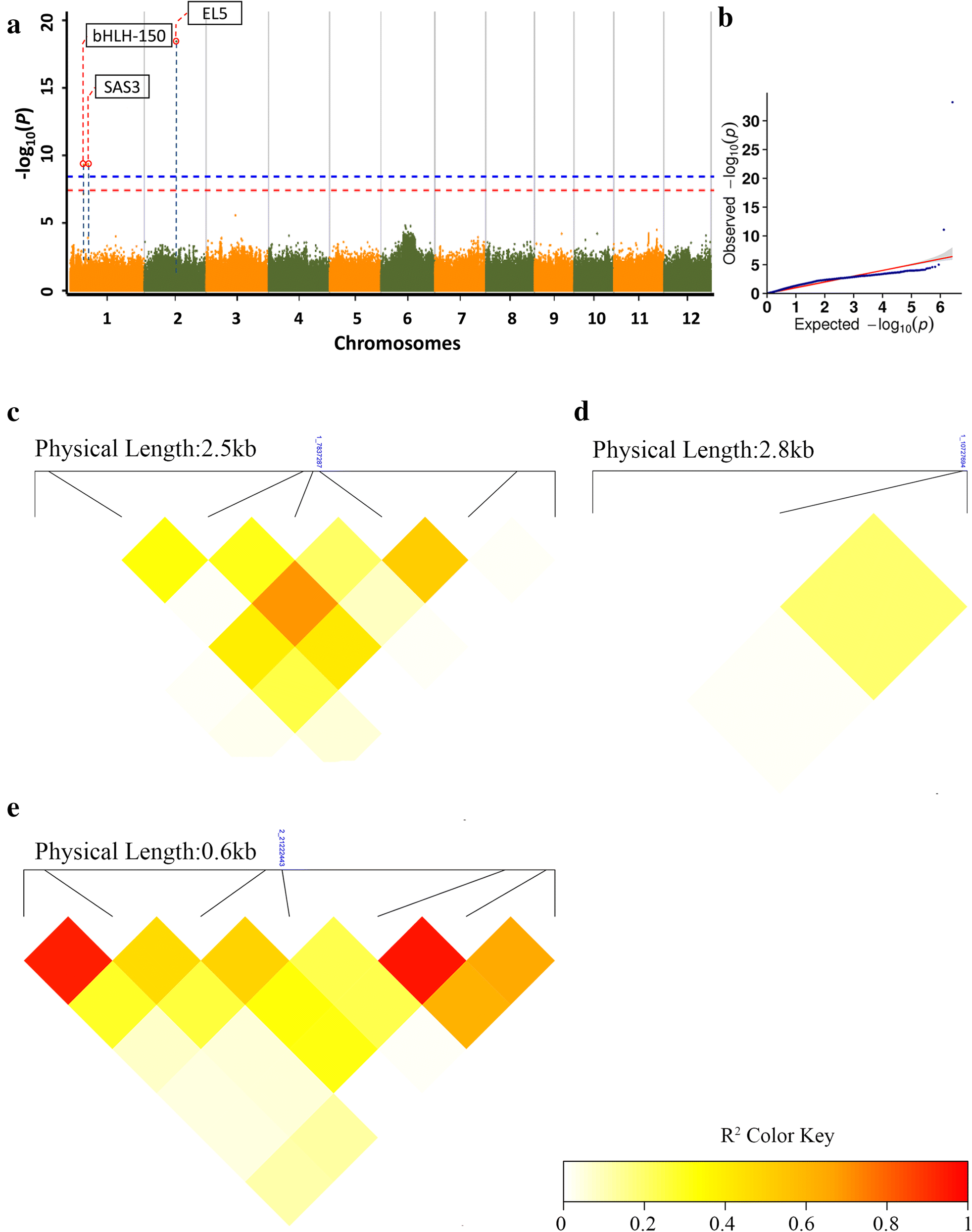 Fig. 5