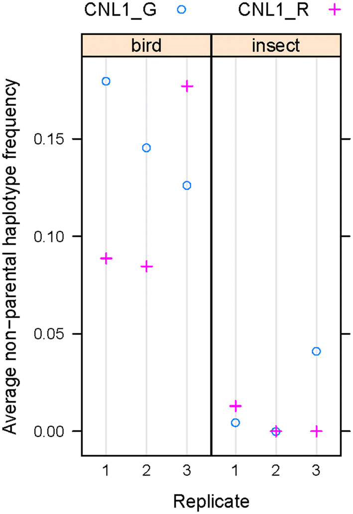 Fig. 7