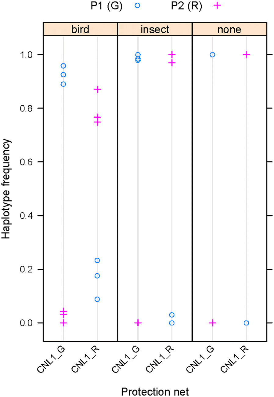 Fig. 8