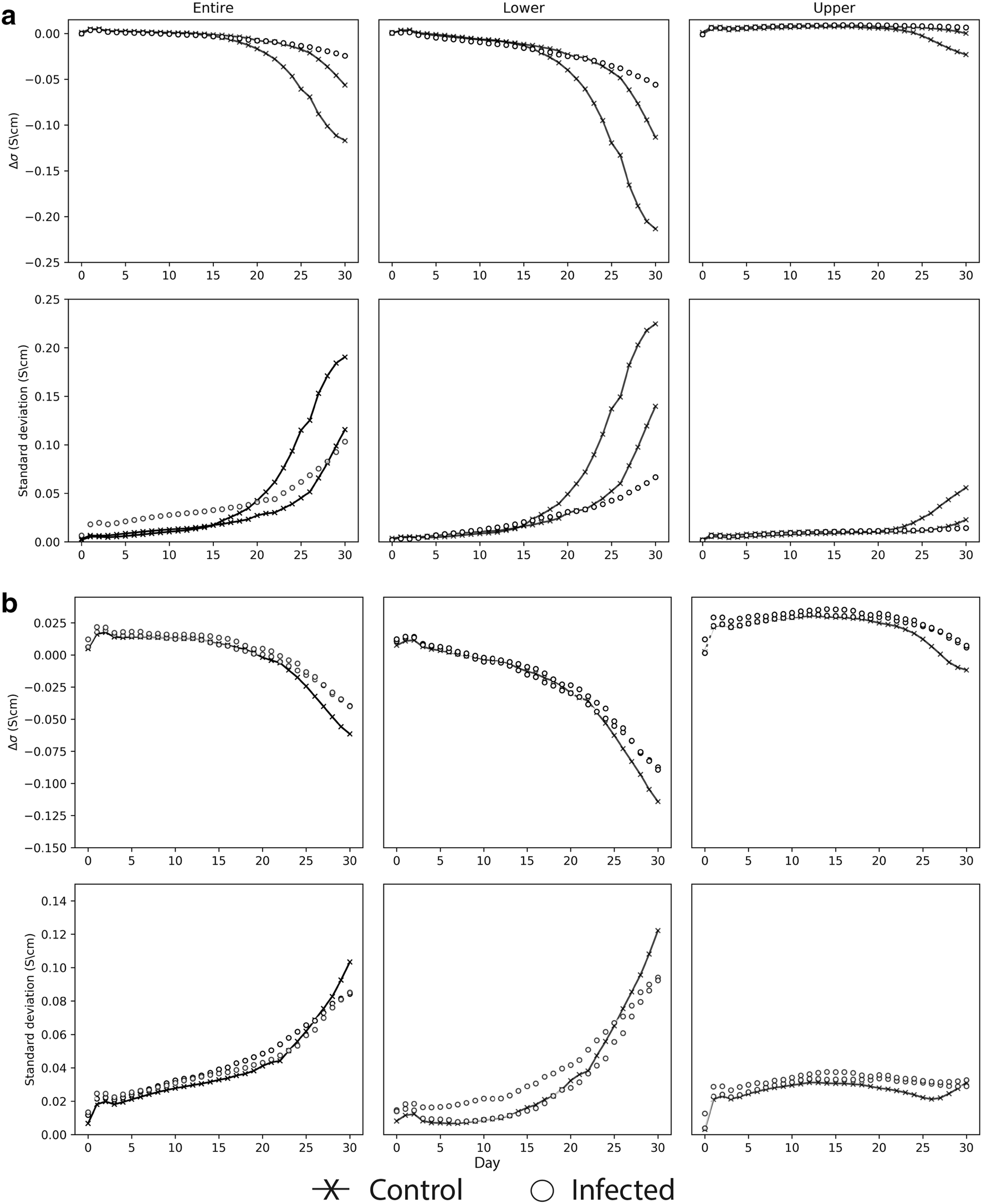 Fig. 4