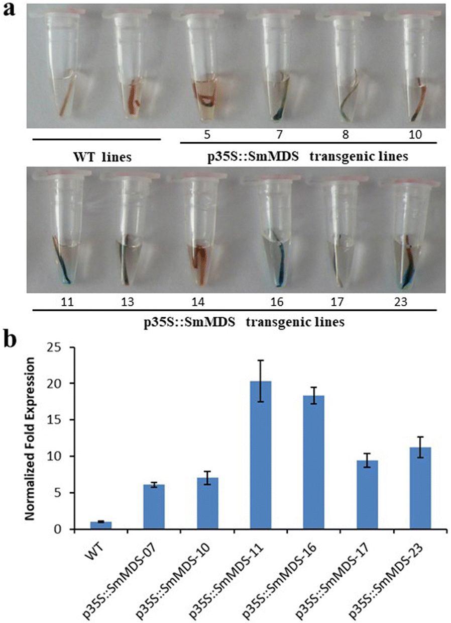 Fig. 3