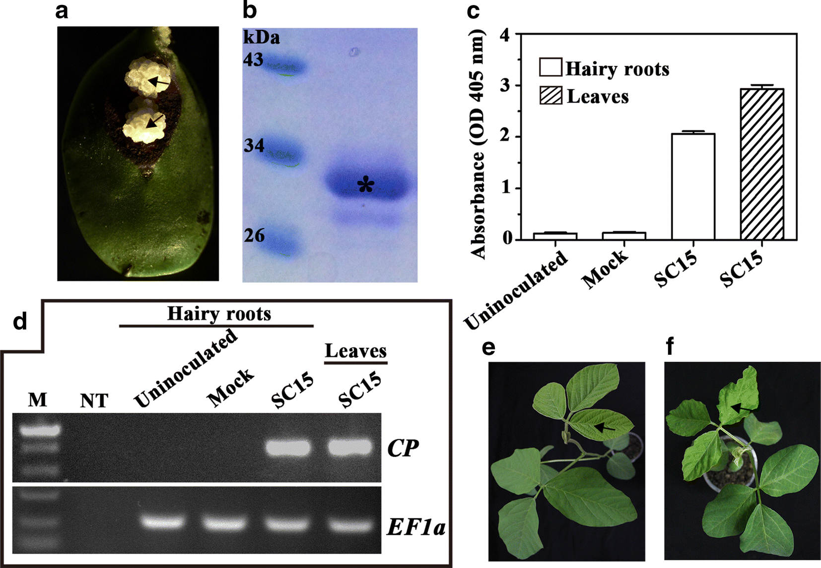 Fig. 2