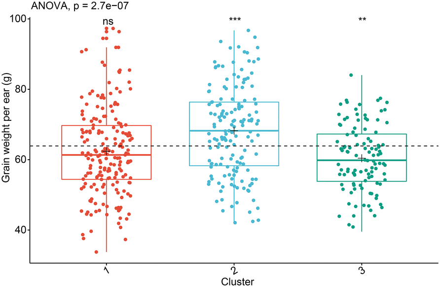 Fig. 11