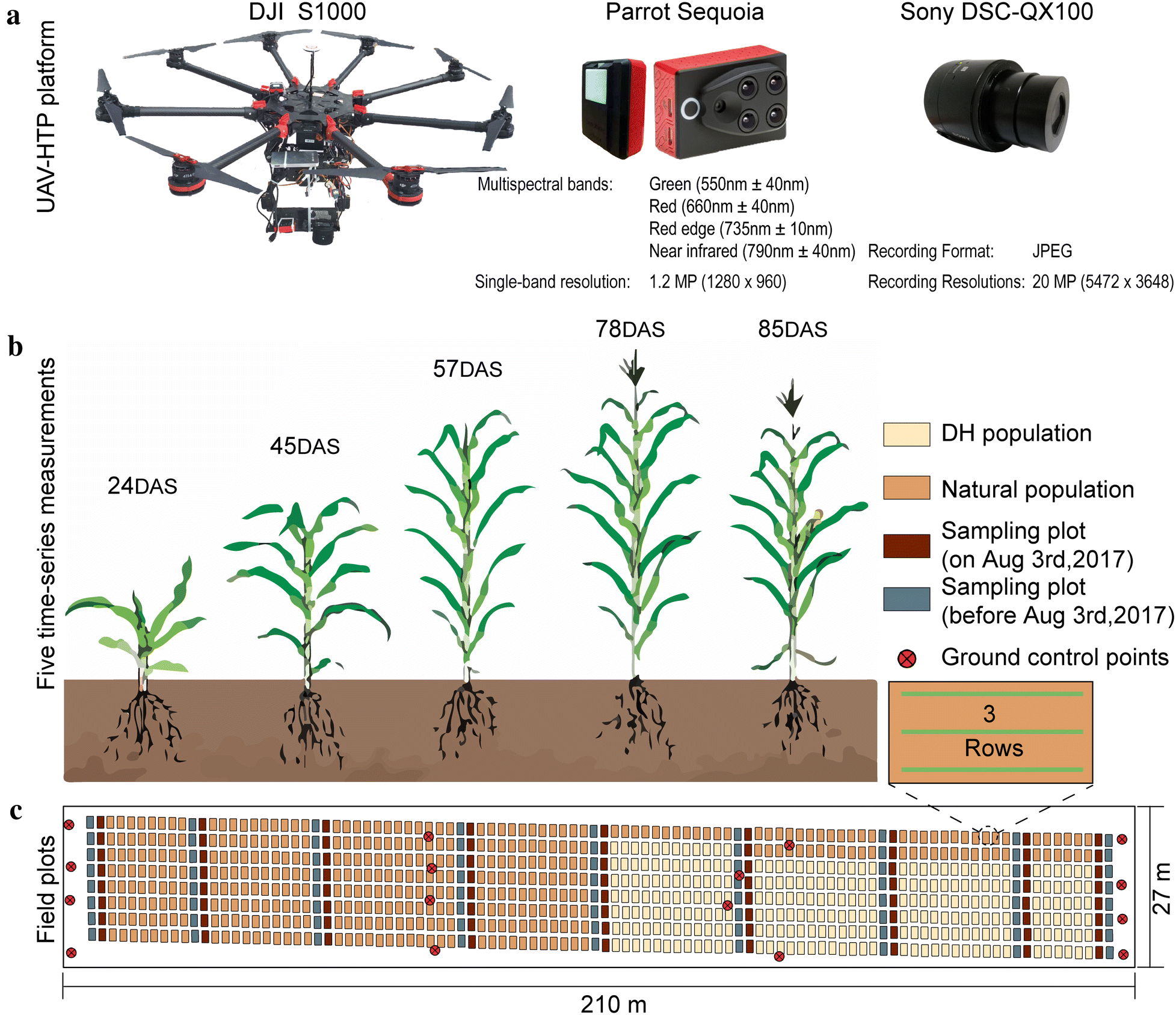 Fig. 1