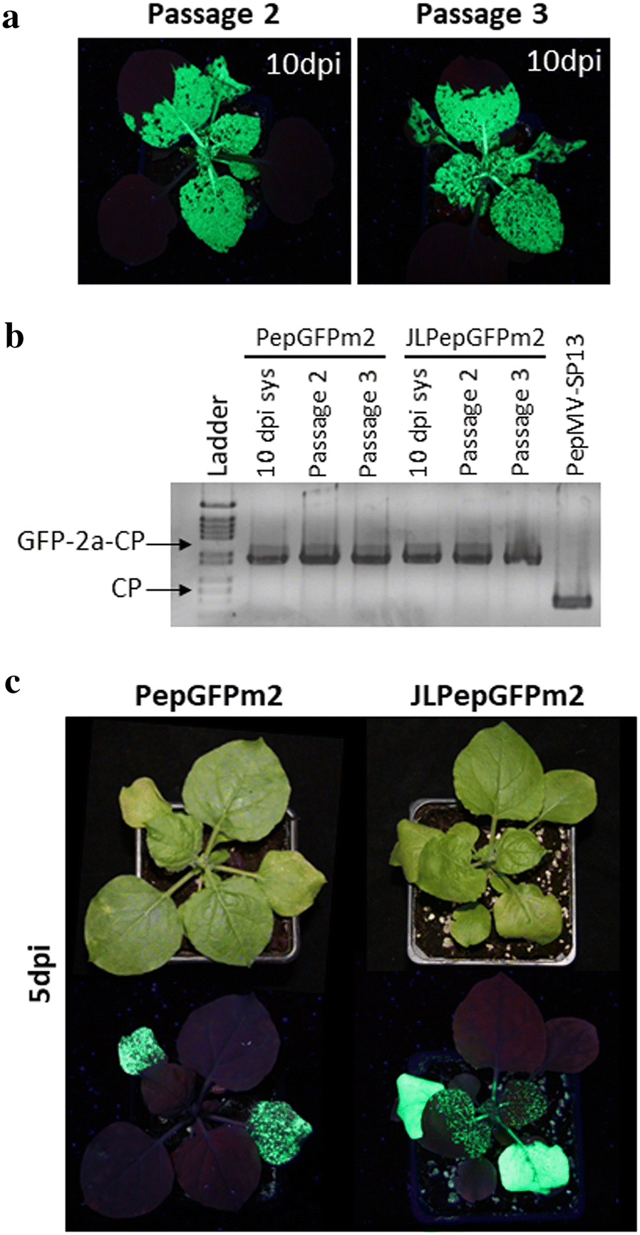 Fig. 3