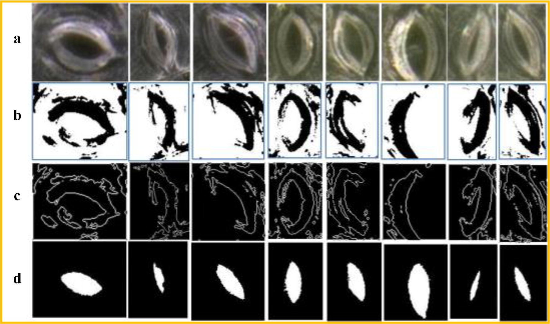 Fig. 14