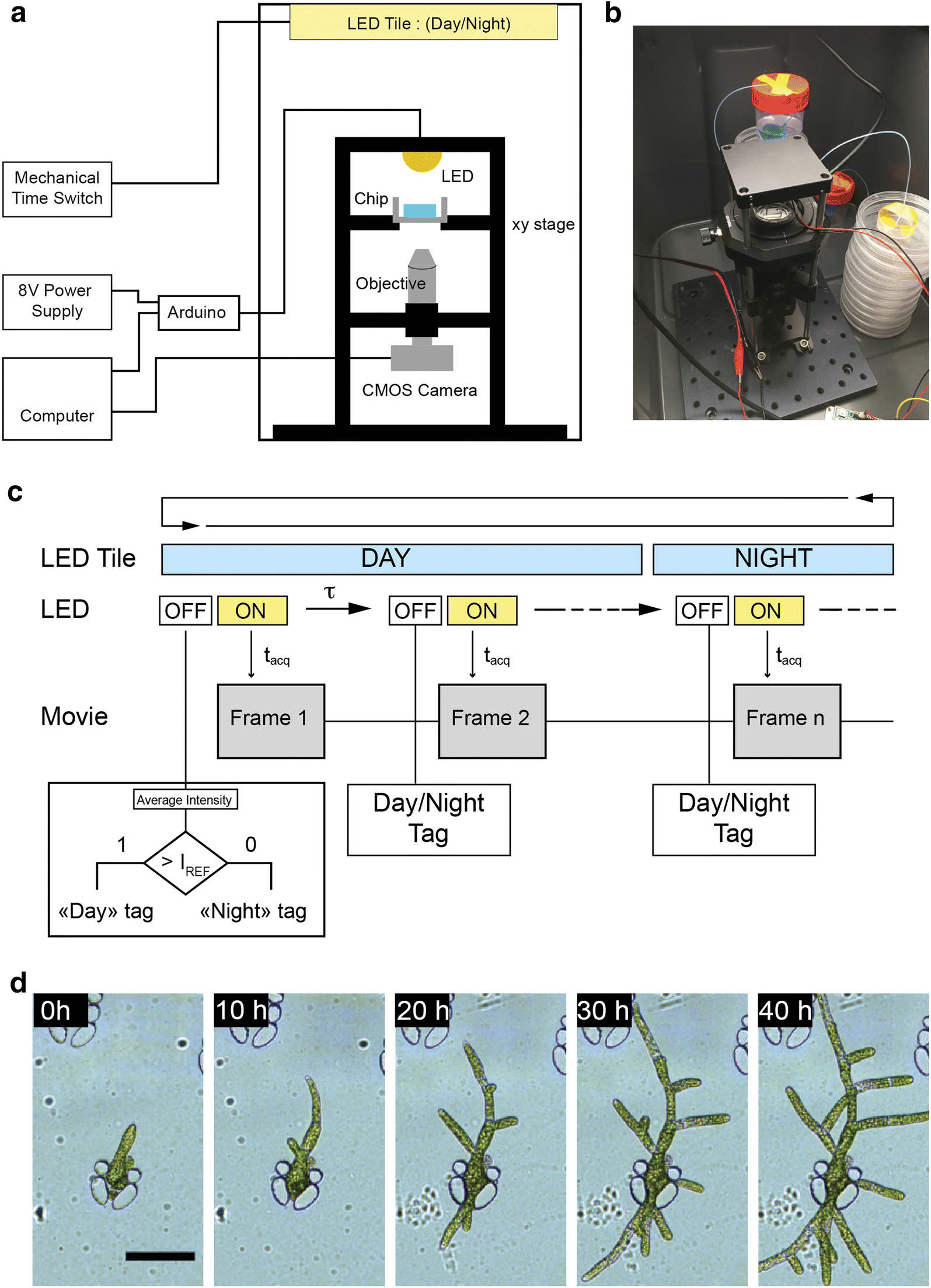 Fig. 5