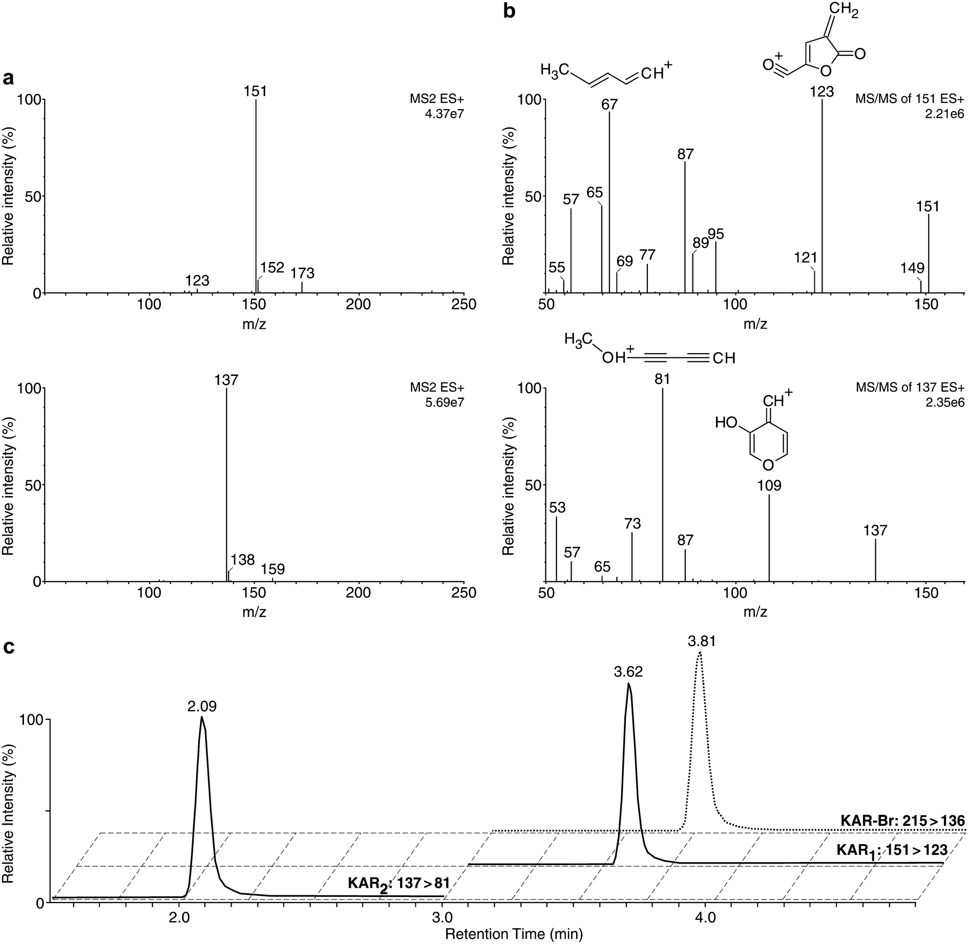 Fig. 4