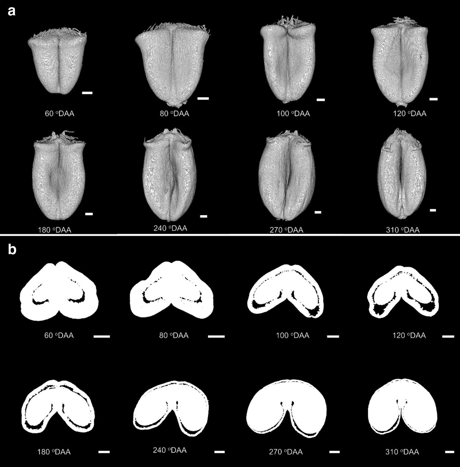 Fig. 10