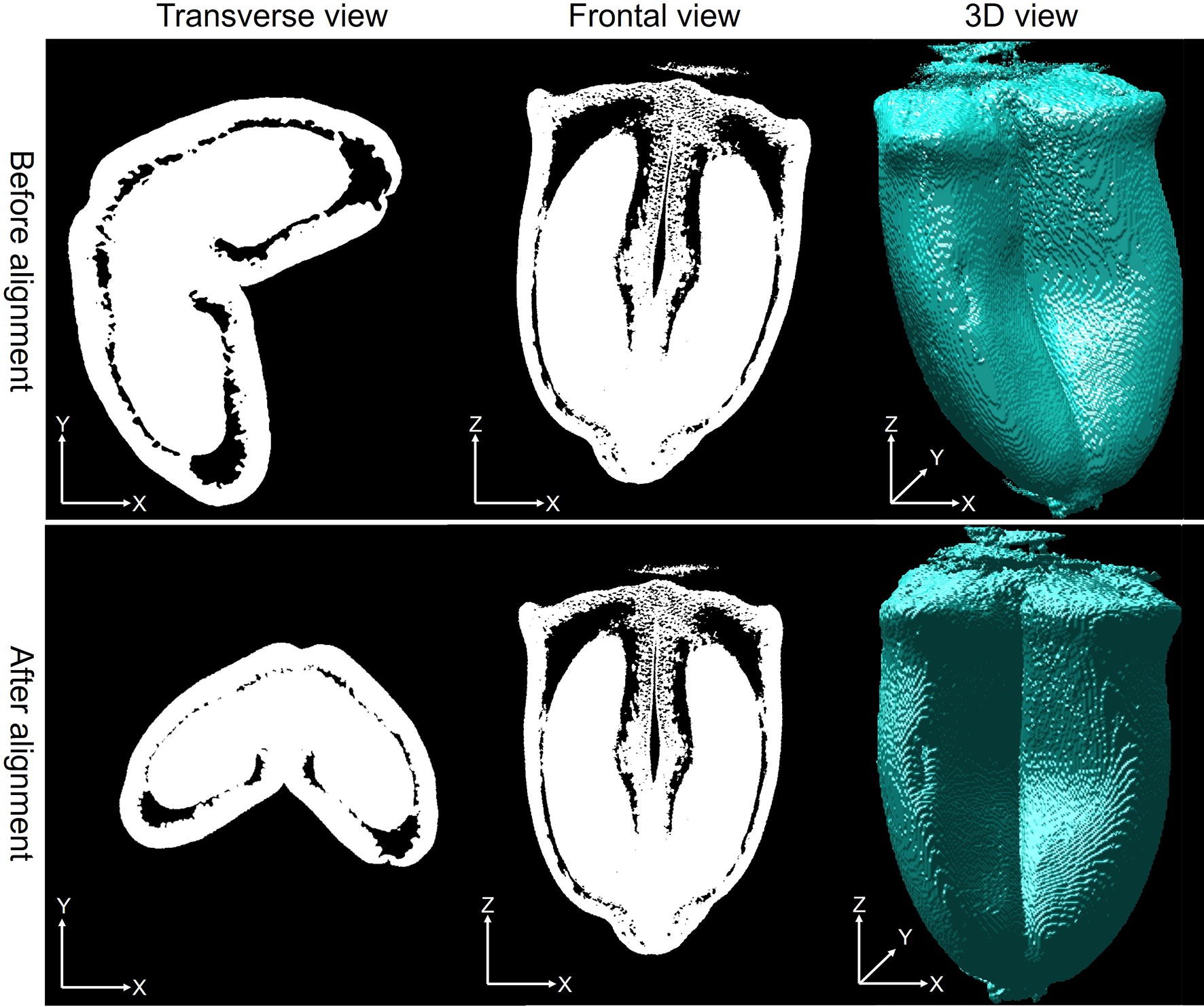 Fig. 4