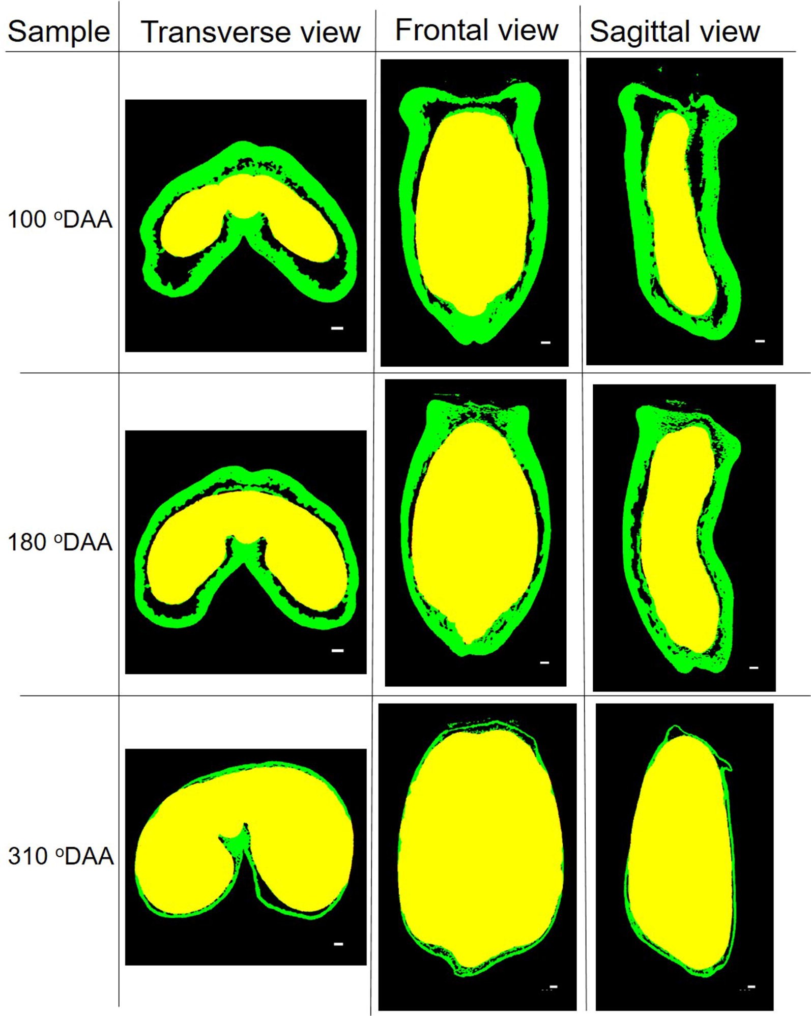 Fig. 9