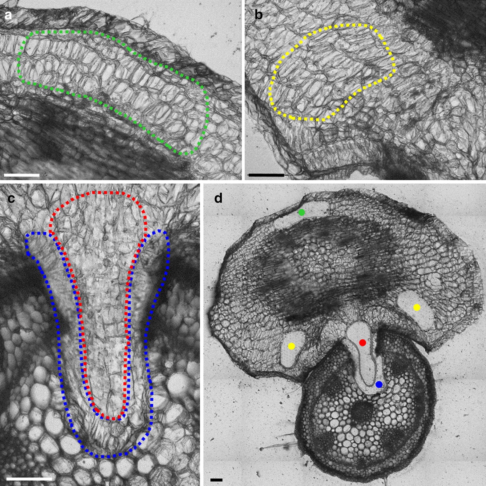 Fig. 3