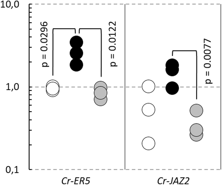 Fig. 5