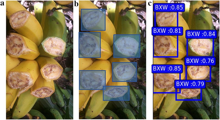 Fig. 3