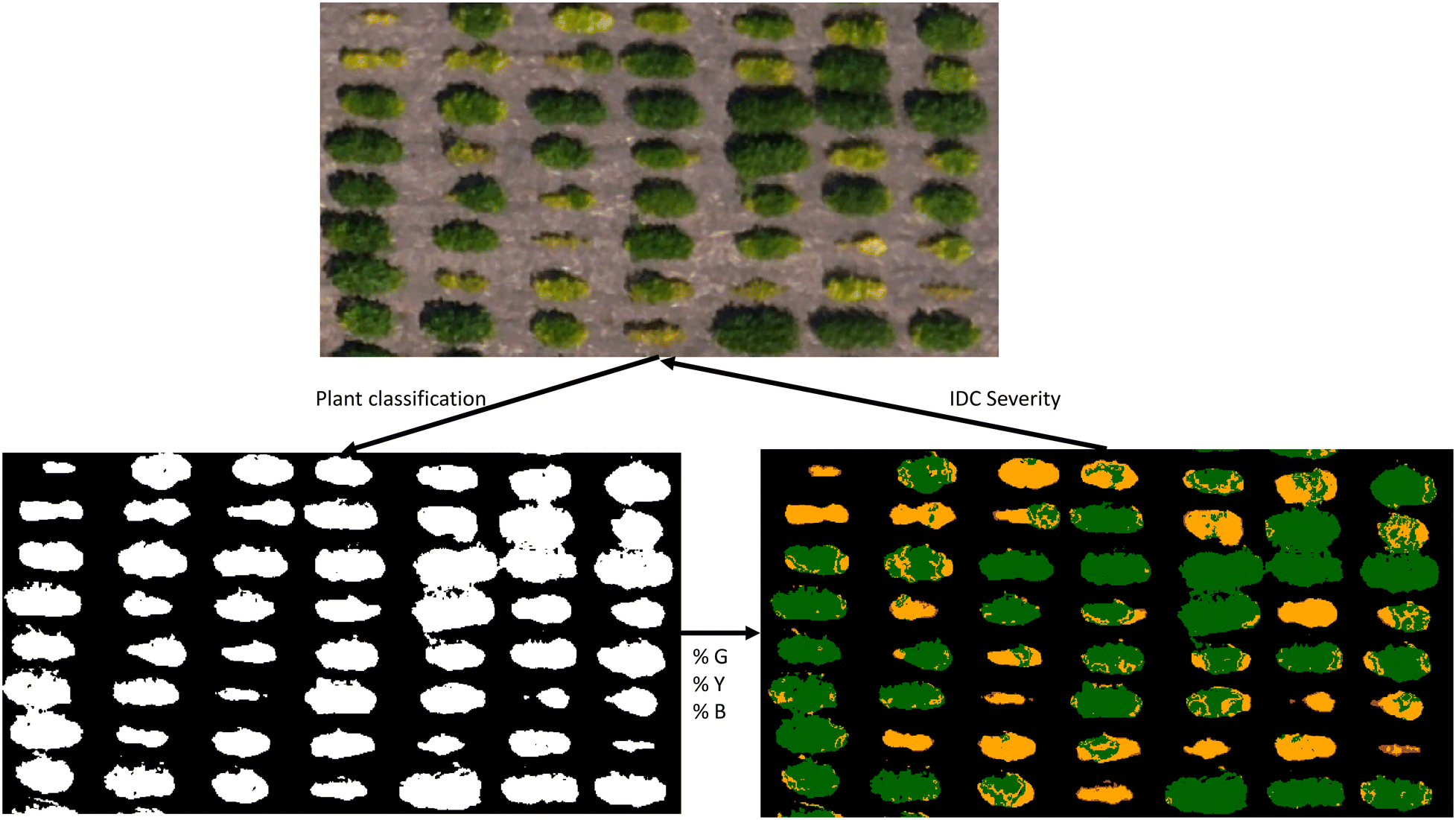 Fig. 3