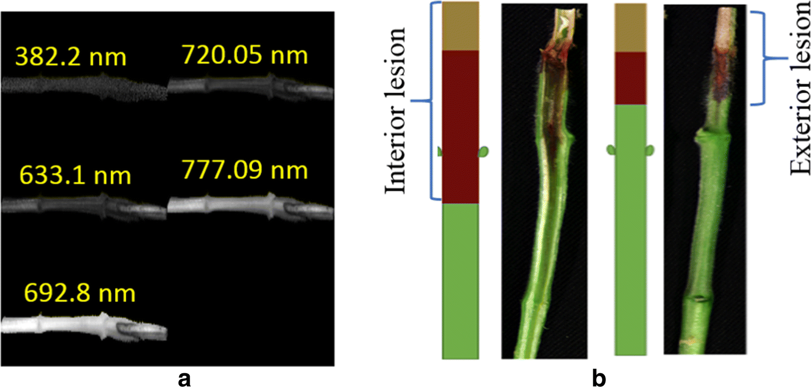 Fig. 2