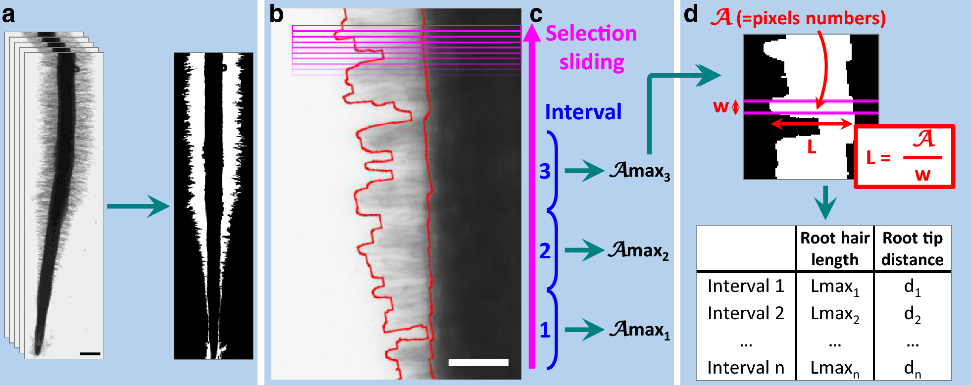 Fig. 2