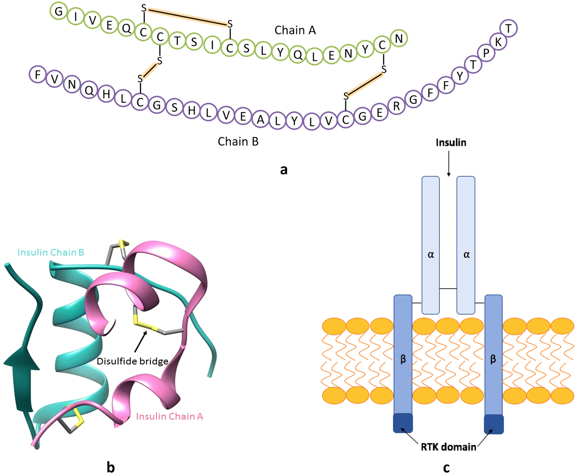 Fig. 3